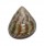 TROCHIDAE CANTHARIDUS PULCHERRIMUS shell