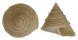 CALLIOSTOMATIDAE ASTELE BULARRA shell