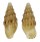 CERITHIIDAE COLINA PINGUIS shell