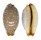 CYPRAEIDAE STAPHYLEA LIMACINA shell